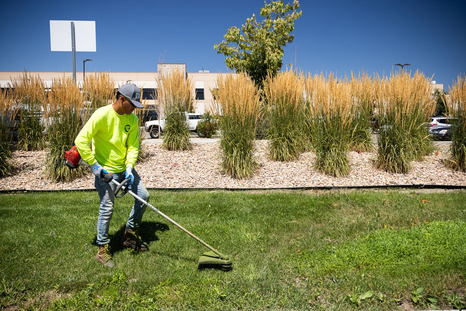 Lawn edging and string trimming service Anaheim CA