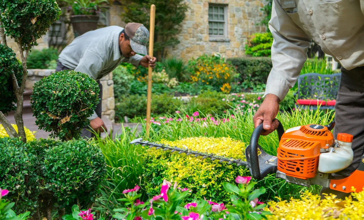 Shrub and bush trimming maintenance service Anaheim CA